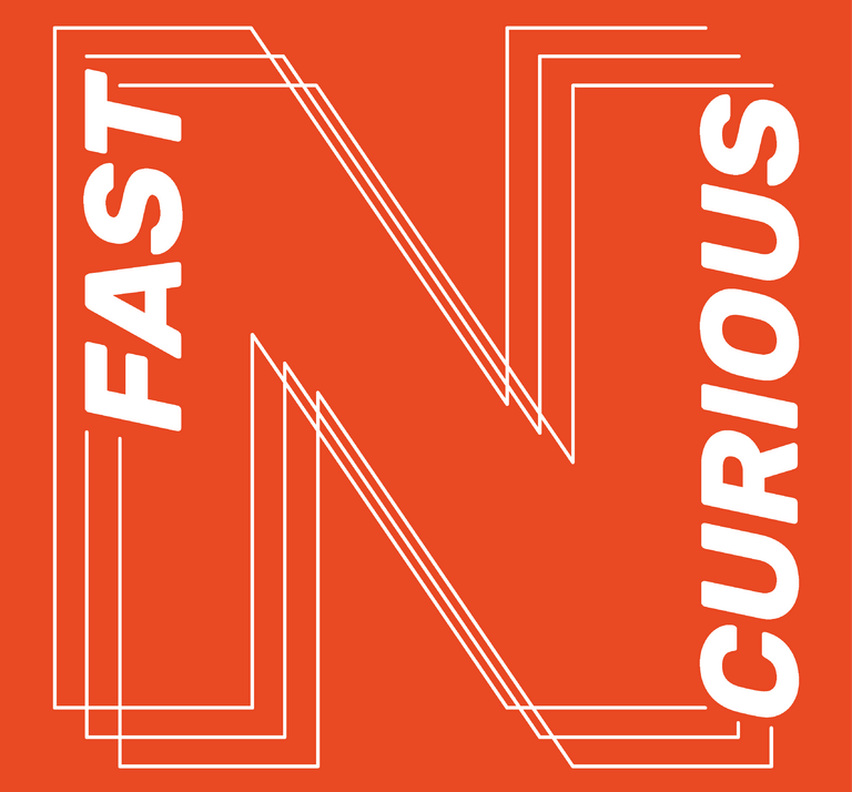 Fast N Curious