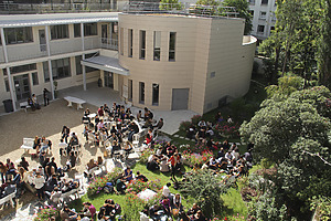 Celsa Jardin Amphi 118